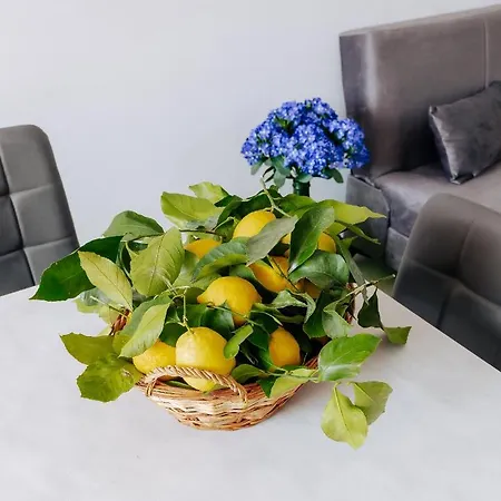 Maison Lorelle - De Vivo Realty