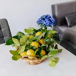 Maison Lorelle - De Vivo Realty